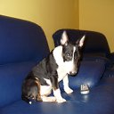 ���� �����, ���������, 43 ���� - ��������� 16 ������� 2011 � ������ ������ (����)�