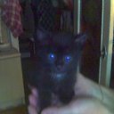 ���� �������, �����, 53 ���� - ��������� 23 ������� 2009 � ������ ����������