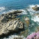 ����� �� ��� �� ������� �������� 2011�