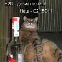 ���� �����, ������ �����, 50 ��� - ��������� 2 ������ 2009 � ������ ��������� ��������