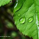 ���� ������, ����� - ��������� 8 ���� 2010 � ������ ����������