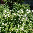 ���� ��������, �����������, 55 ��� - ��������� 25 ���� 2012 � ������ ���� ����������