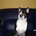 ���� �����, ���������, 43 ���� - ��������� 16 ������� 2011 � ������ ������ (����)�