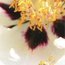 ������ �� ������� ���������