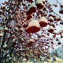 ���� ����, �������-��������� - ��������� 9 ��� 2011 � ������ ���� �������.�