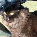 � ����� �� ������� �RoadKing�