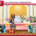 ���� ������, ����������, 40 ��� - ��������� 25 ������ 2010 � ������ �PetLove�