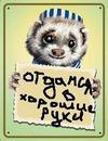 ���� ((( �.�, ������-��-���� - ��������� 28 ������� 2013 � ������ ���� ����������