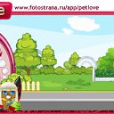 ���� ����, �������, 40 ��� - ��������� 5 ������ 2010 � ������ �PetLove�