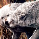 ���� ����� - ���������� ��������!!!, �����������, 56 ��� - ��������� 14 ������� 2009 � ������ ���������� �������Ż