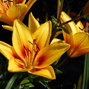  ++, , 55  -  6  2013    