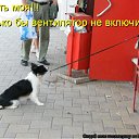 ���� Ivan, ������ - ��������� 24 ������ 2011 � ������ �������