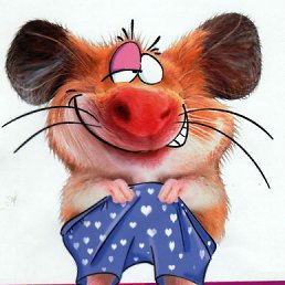 ���� ����, ��������, 37 ��� - ��������� 10 ������ 2011