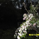 ���� Vitaliy, ����, 53 ���� - ��������� 26 ��� 2013 � ������ ���� ����������