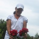  ,  -  2  2012   ,  ߻