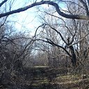 ���� �����, ������, 39 ��� - ��������� 10 ���� 2009 � ������ �� ���������� ��������...�