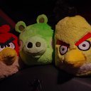 ���� �������, �����-���������, 41 ��� - ��������� 8 ������� 2012 � ������ ���� ����������