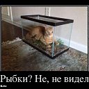 ���� ������, �����������, 53 ���� - ��������� 15 ����� 2013 � ������ ���� ����������