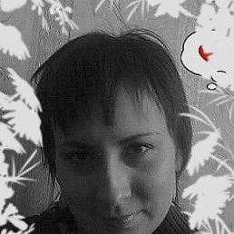 ����, ��������, 40 ���