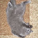 ���� ���, ���� - ��������� 17 ���� 2013 � ������ ���� ����������