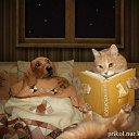 ���� ������, ������, 38 ��� - ��������� 17 �������� 2011 � ������ �������