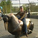 ���� ��������, ������, 27 ��� - ��������� 2 ������ 2009 � ������ ������� 2009�