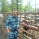  Dimon, , 40  -  11  2012   