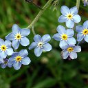 ���� ����� - ���������� ��������!!!, �����������, 56 ��� - ��������� 15 ������ 2010 � ������ �������� ��� ���� :-)))�