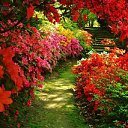 ���� �������, ������, 37 ��� - ��������� 25 ������� 2012 � ������ ���� ����������