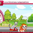 ���� ����, �����������, 23 ���� - ��������� 12 ������ 2010 � ������ �PetLove�