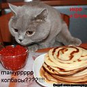 ���� �����, ������, 73 ���� - ��������� 16 ����� 2013 � ������ ���� ����������
