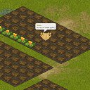 ���� ����, ������ - ��������� 4 ���� 2013 � ������ �Tropikania�