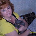 ���� �����, ������, 54 ���� - ��������� 9 ��� 2011 � ������ �� ��� ��� ߻