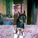 ���� �������, ������ - ��������� 30 ��� 2013 � ������ ���� ����������