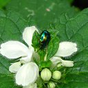  ••,  -  9  2013   RoadKing