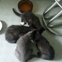 ���� Natalya, ��������, 56 ��� - ��������� 11 ������� 2011 � ������ ����� ����, ���� � &amp;�