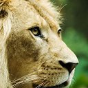 ���� ������, �������, 29 ��� - ��������� 24 ������� 2010 � ������ ���� ����