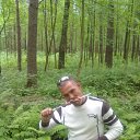 ���� �������, �����-���������, 37 ��� - ��������� 7 ���� 2012 � ������ ���� ����������