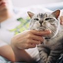 ���� ��������, ������-��-���� - ��������� 21 ������� 2012 � ������ ���� ����������