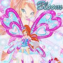  , , 24  -  27  2010   Winx