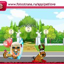  ˸, , 43  -  10  2010   PetLove