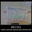  , , 43  -  12  2009   .....