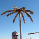 ���� ���������, ����������� - ��������� 11 ������ 2011 � ������ ���� ����������