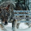 ���� �������, ��������� - ��������� 7 ������� 2013 � ������ �������