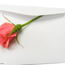 ���� Kisa, ��������������, 42 ���� - ��������� 4 ����� 2012
