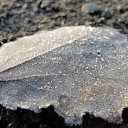 ���� �����.....����., �������, 43 ���� - ��������� 28 ������ 2011 � ������ ���� ����������