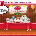 ���� Sem, �����, 53 ���� - ��������� 23 ������ 2011 � ������ �PetLove�