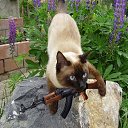 ���� ����, ����, 26 ��� - ��������� 24 ��� 2013 � ������ ���� ����������