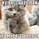 ���� ����, ����� - ��������� 4 ���� 2013 � ������ ���� ����������