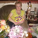 ���� �������, ����-�������, 66 ��� - ��������� 15 ����� 2012 � ������ ���� ����������